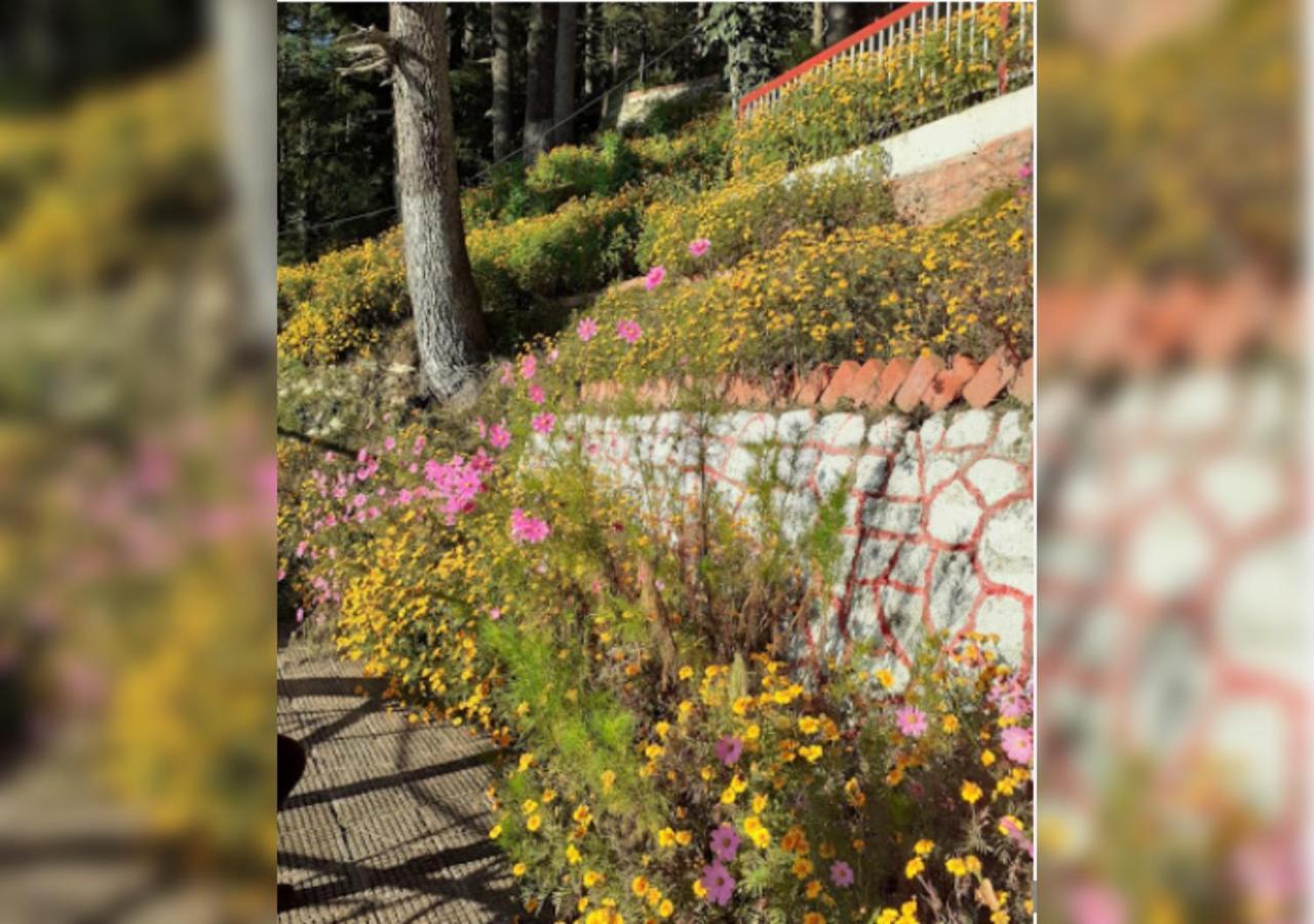 Hotel Country Resort Khajjiar Exterior foto